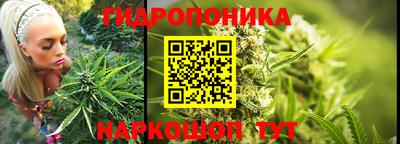 крисы Краснокаменск