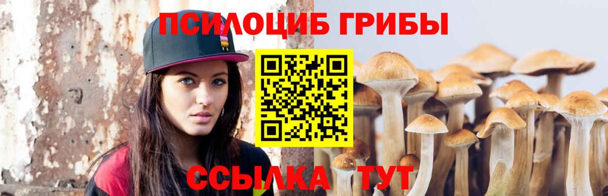 Псилоцибиновые грибы MAGIC MUSHROOMS Ярославль